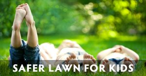 Wisconsin safe lawns for kids